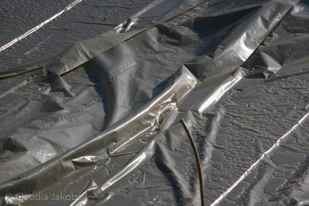 130220104354 IMG 4788