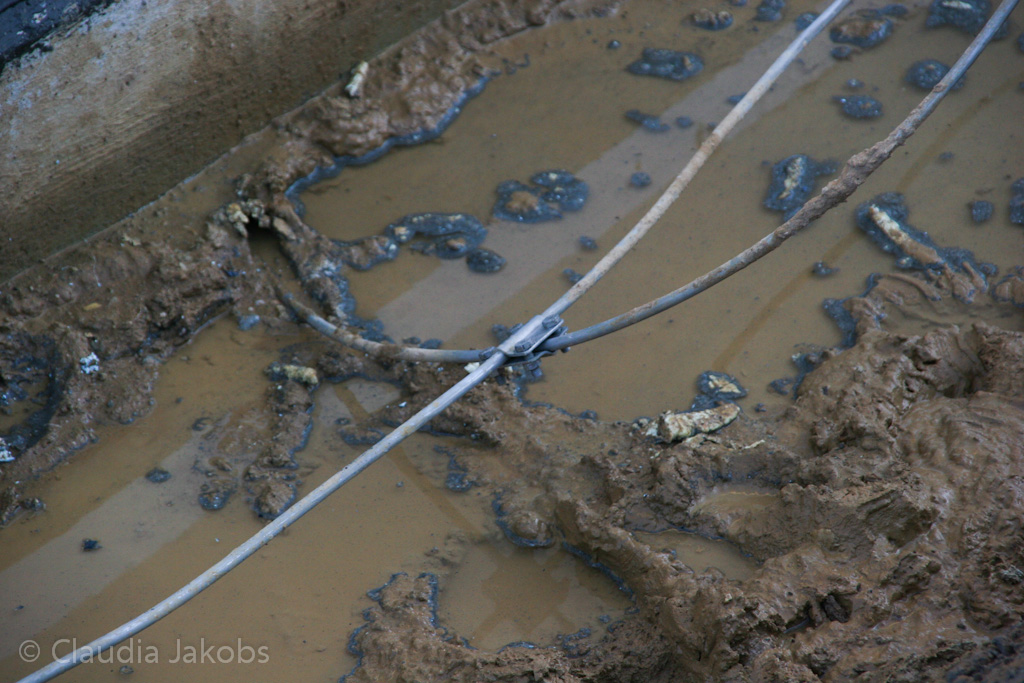 130304173122 IMG 5168