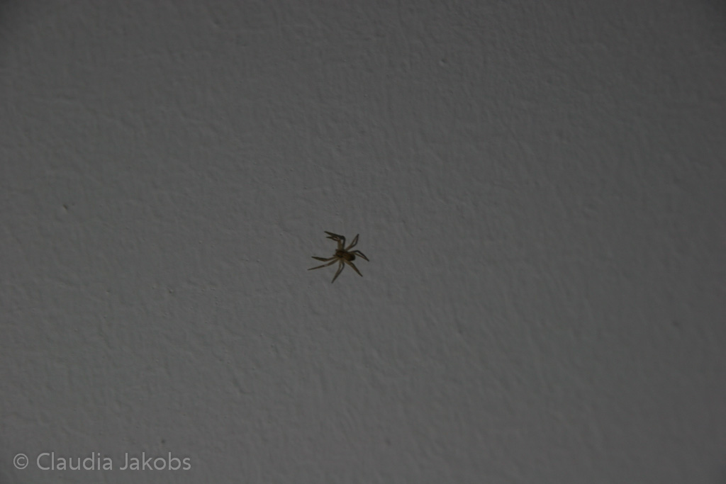 130306181959 IMG 5271