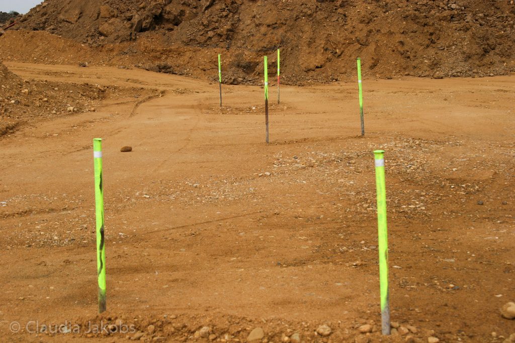 120429132410 IMG 2057