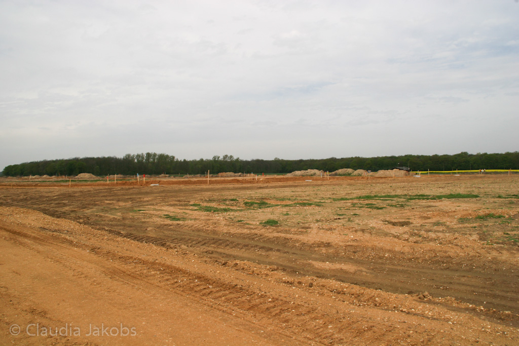 120429135123 IMG 2073