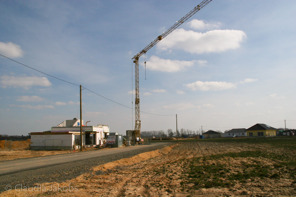 130401131129 IMG 5446