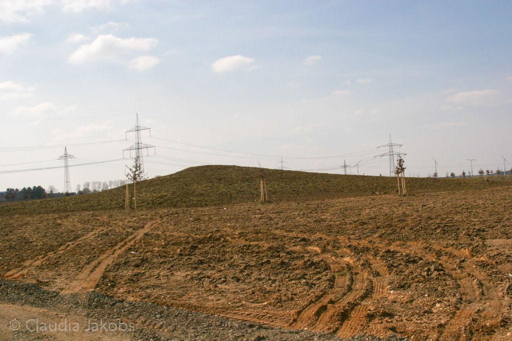 130401133934 IMG 5475