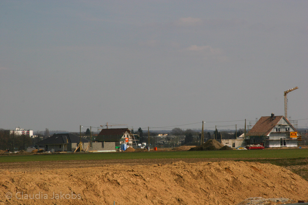 130401135308 IMG 5489