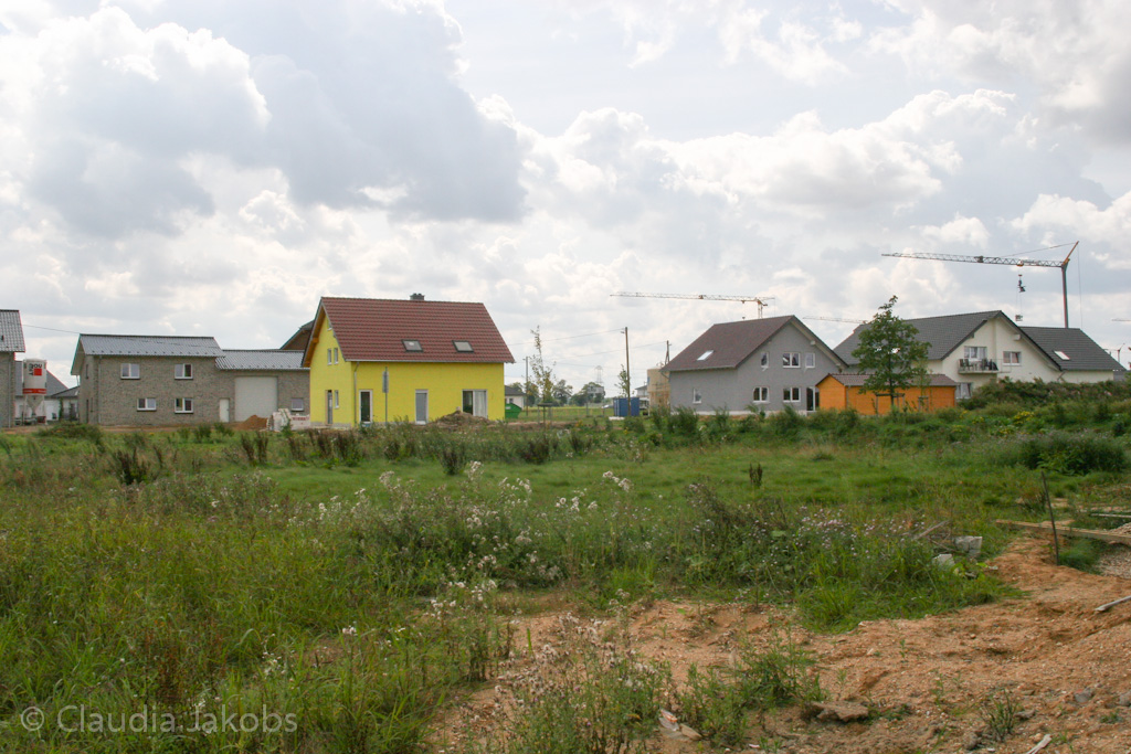 140824115643 IMG 8042