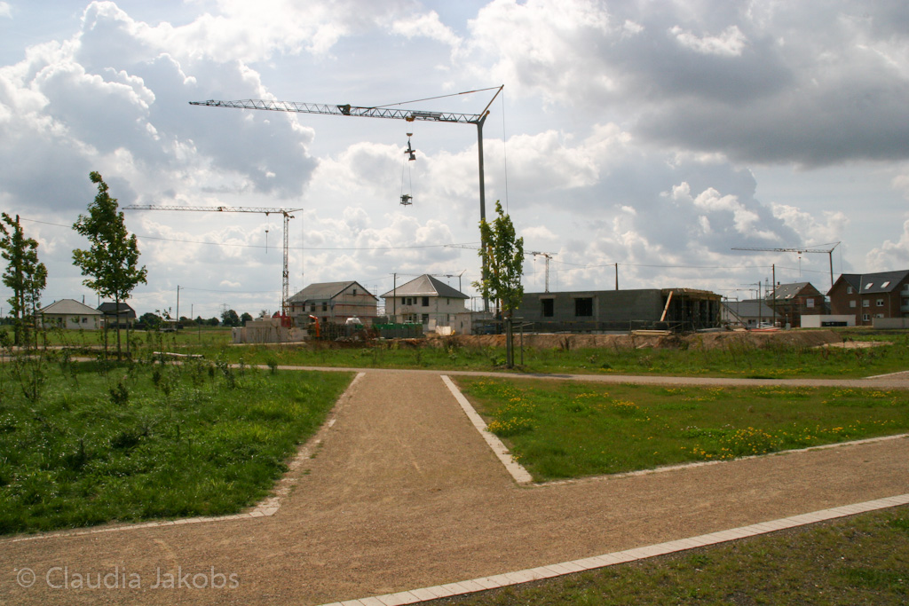 140824120004 IMG 8050