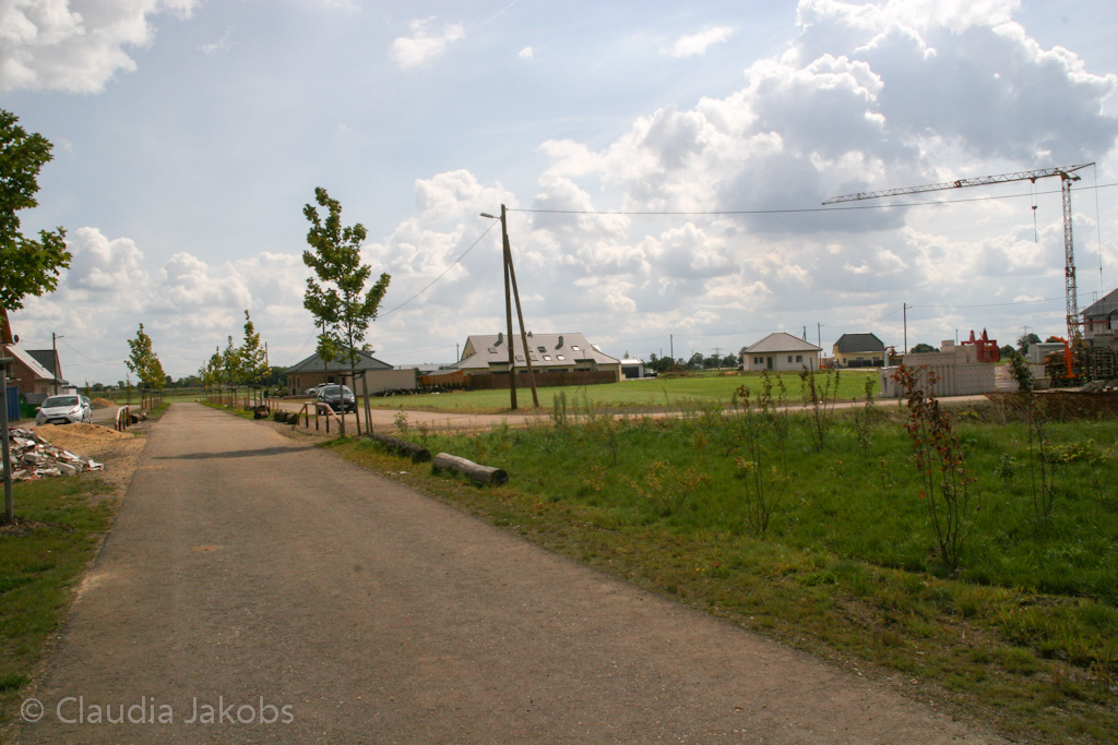 140824120037 IMG 8052