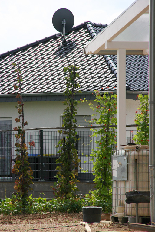 140824120401 IMG 8058