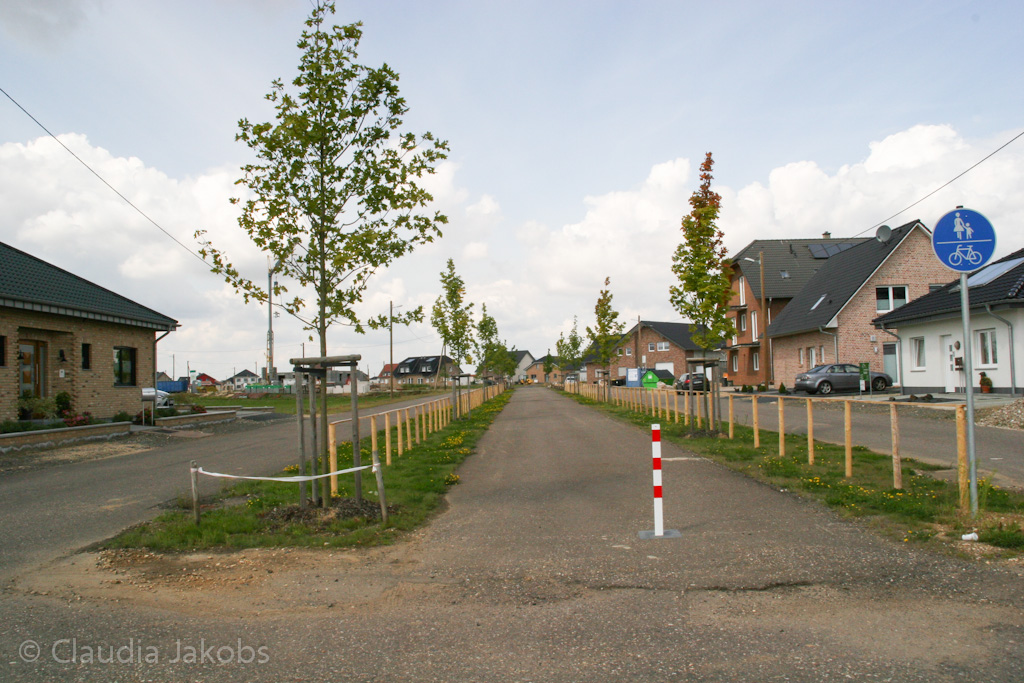 140824120745 IMG 8063