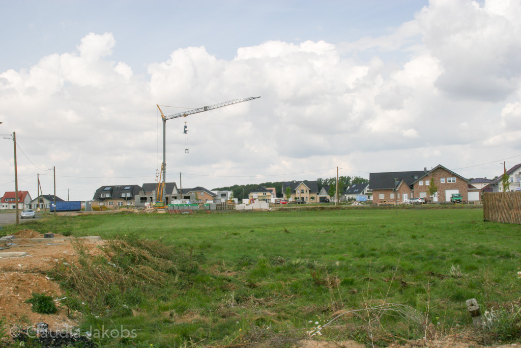 140824120922 IMG 8065