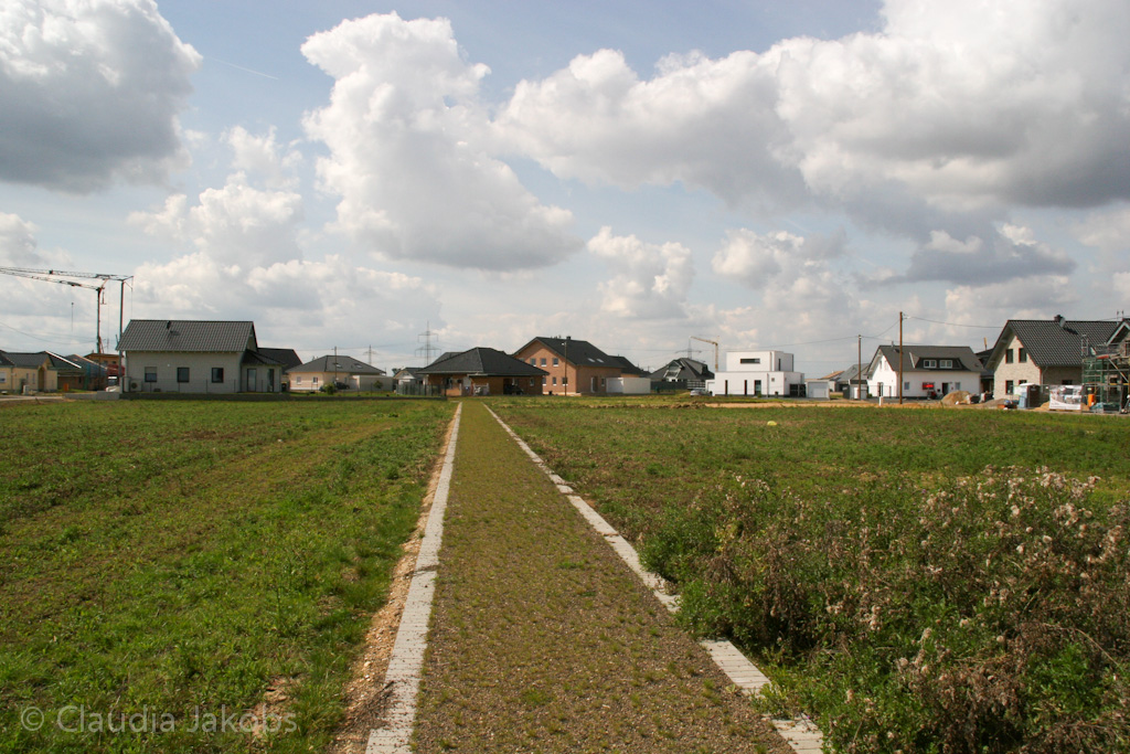 140824121433 IMG 8070