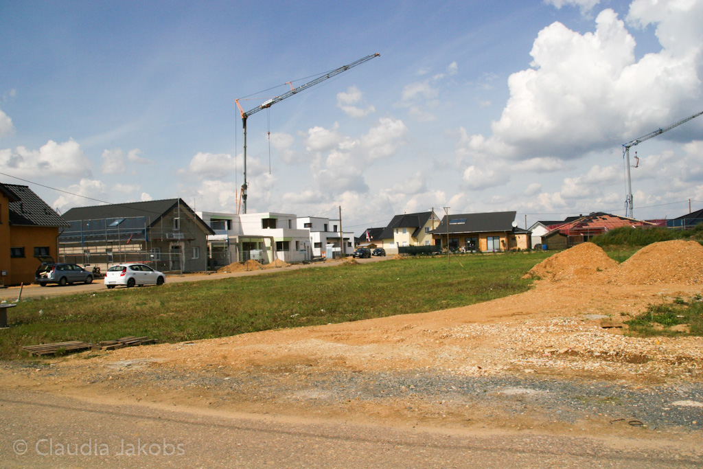 140824124249 IMG 8082