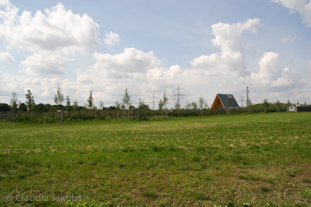 140824124448 IMG 8085