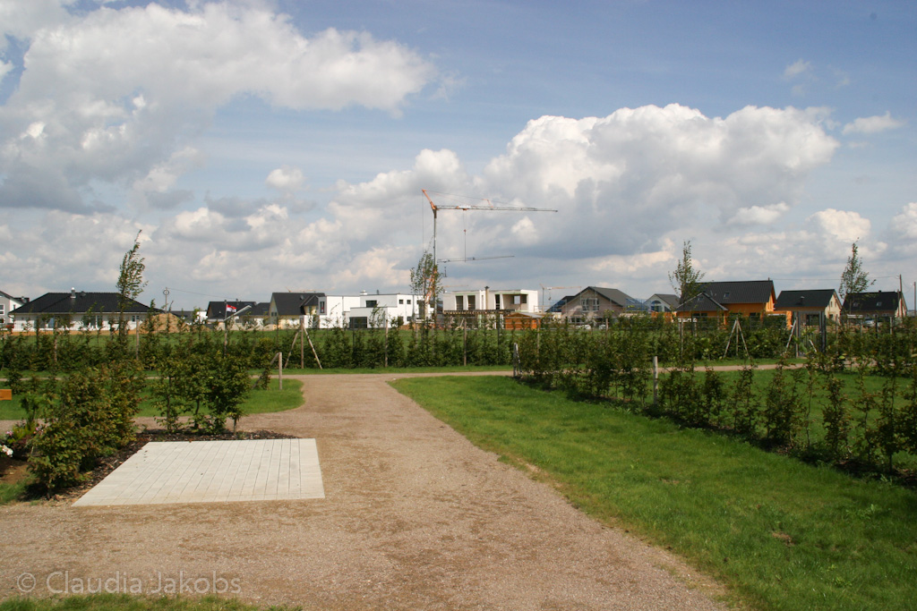 140824124955 IMG 8092