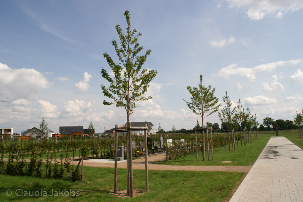 140824125102 IMG 8094