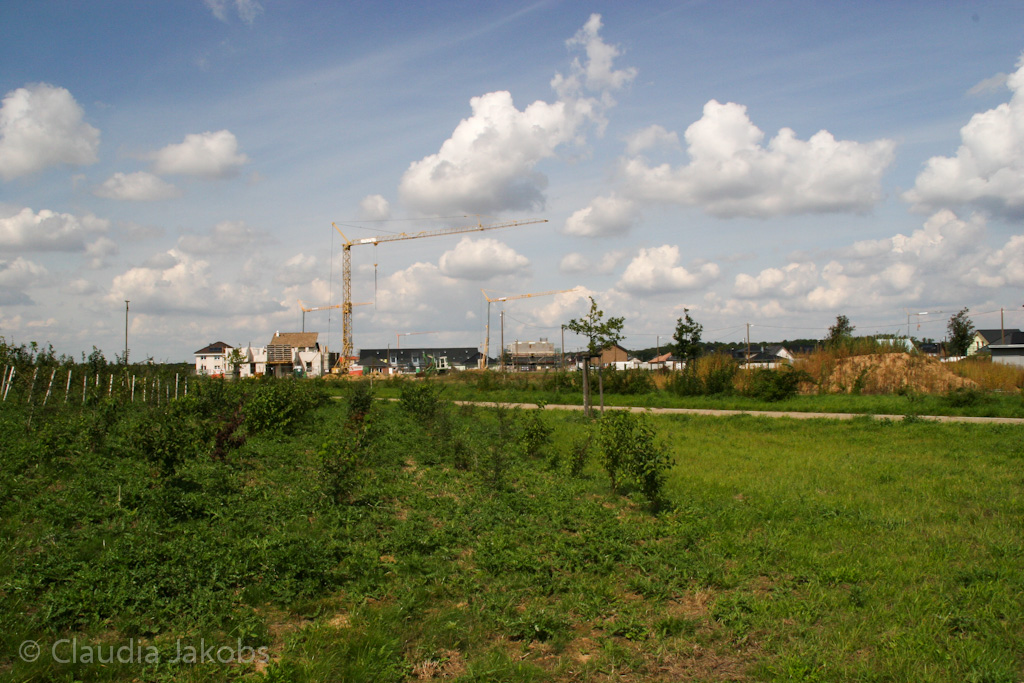 140824125423 IMG 8097