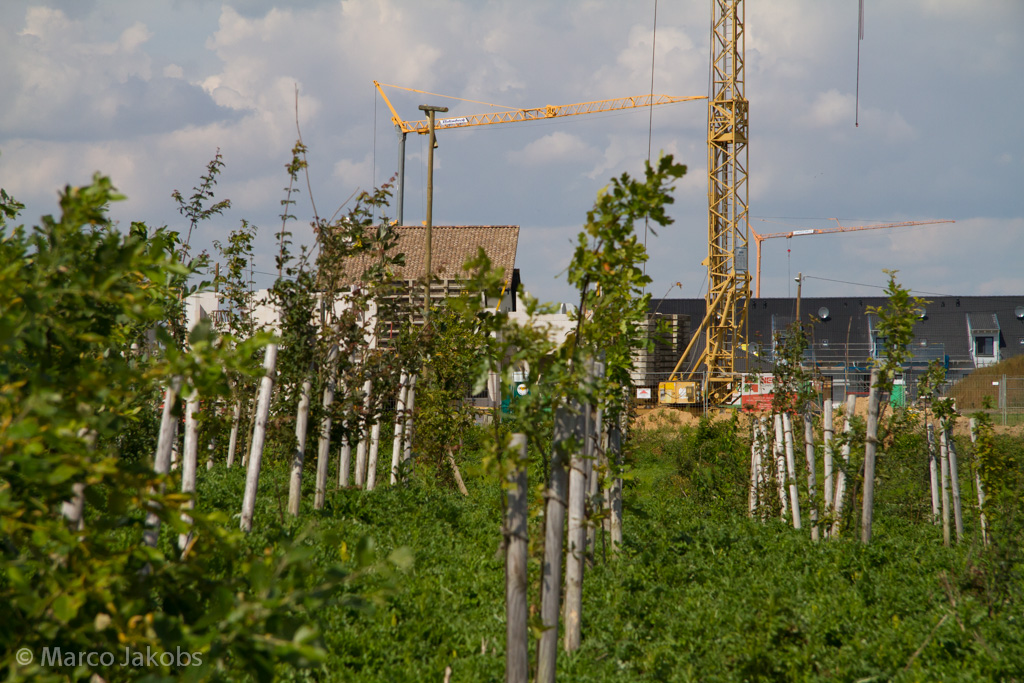 140824125443 MJ  2202