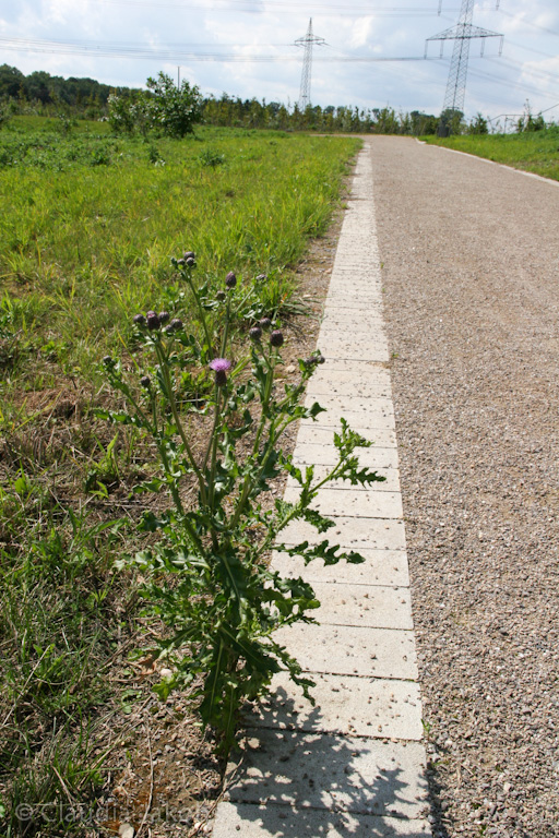 140824125520 IMG 8099