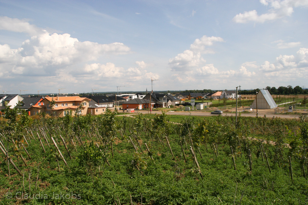 140824125726 IMG 8103