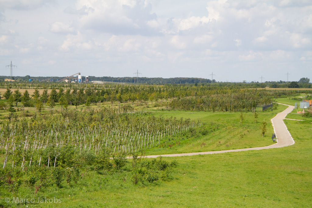 140824125814 MJ  2210