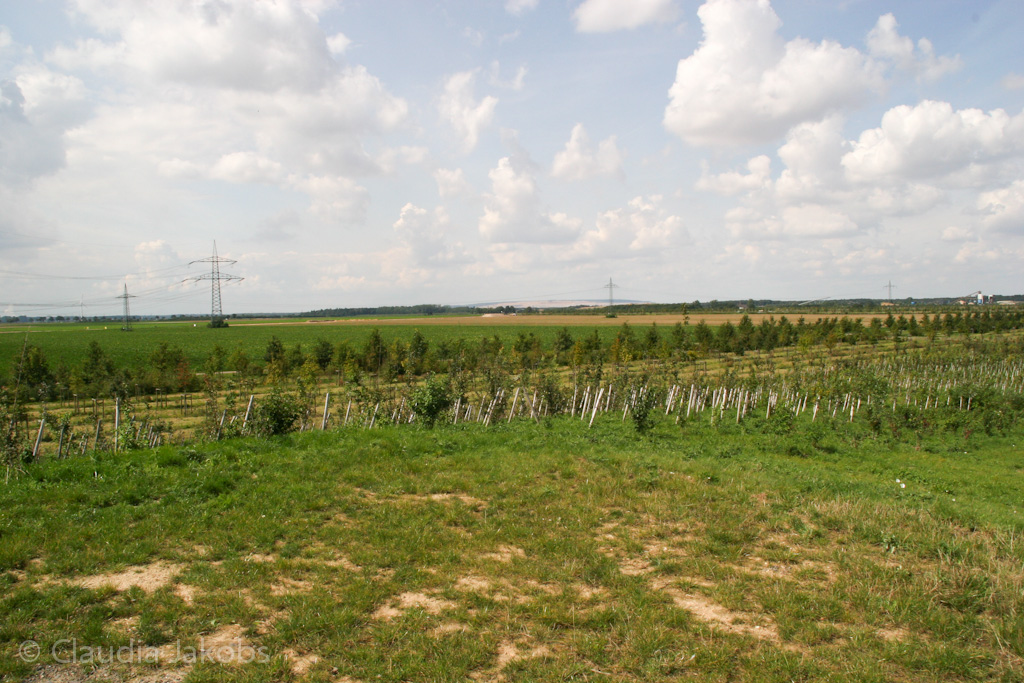 140824125820 IMG 8107