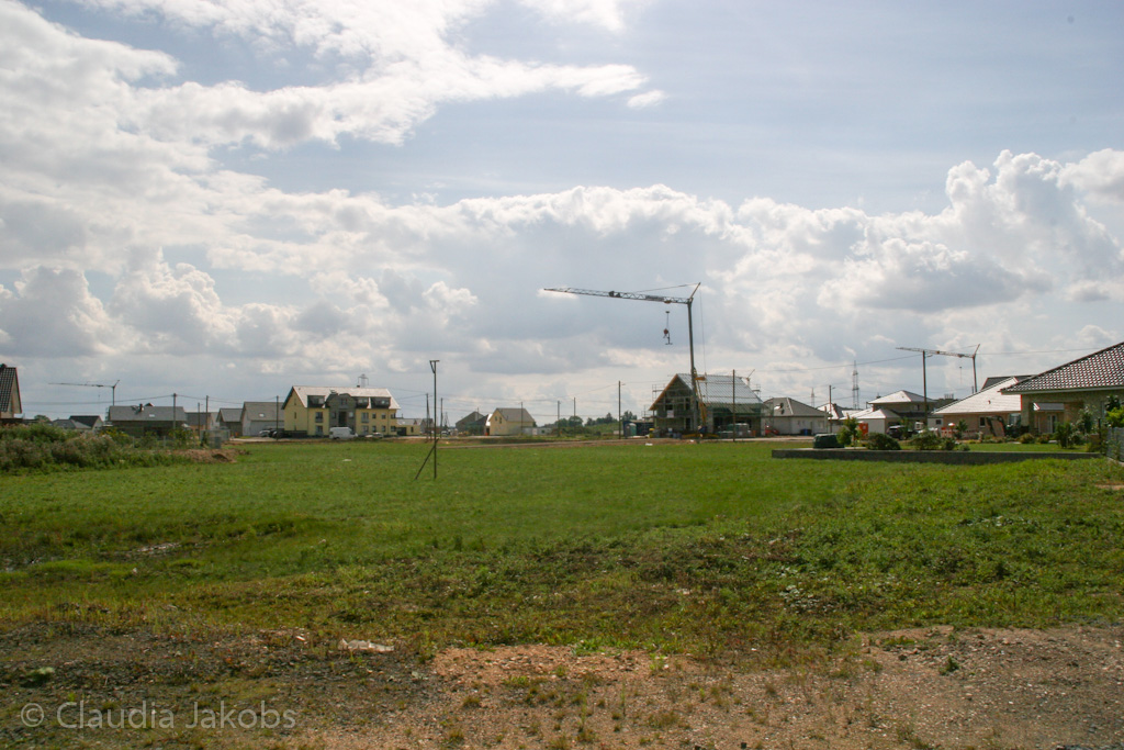 140824133558 IMG 8141