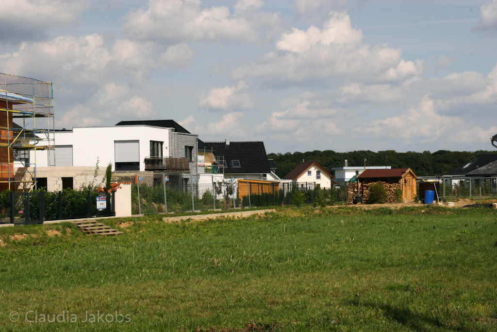 140824133855 IMG 8146