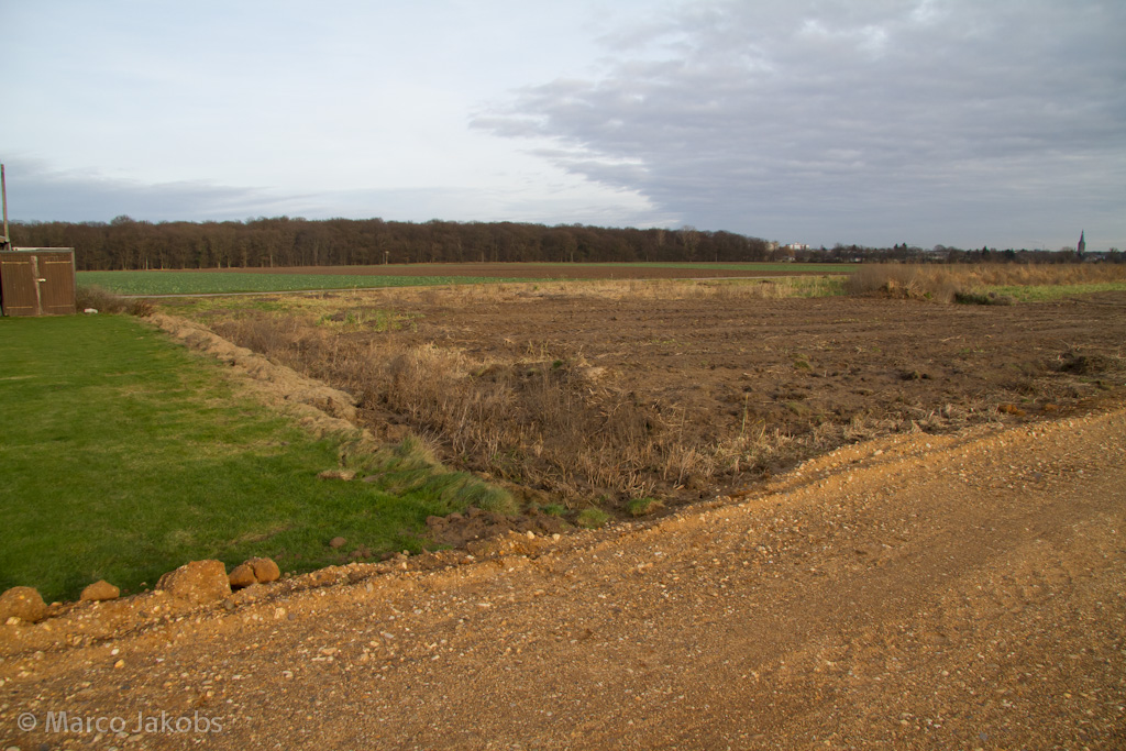 111211141517 IMG 6758