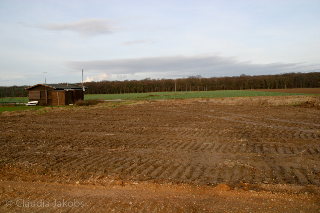 111211141651 IMG 0929