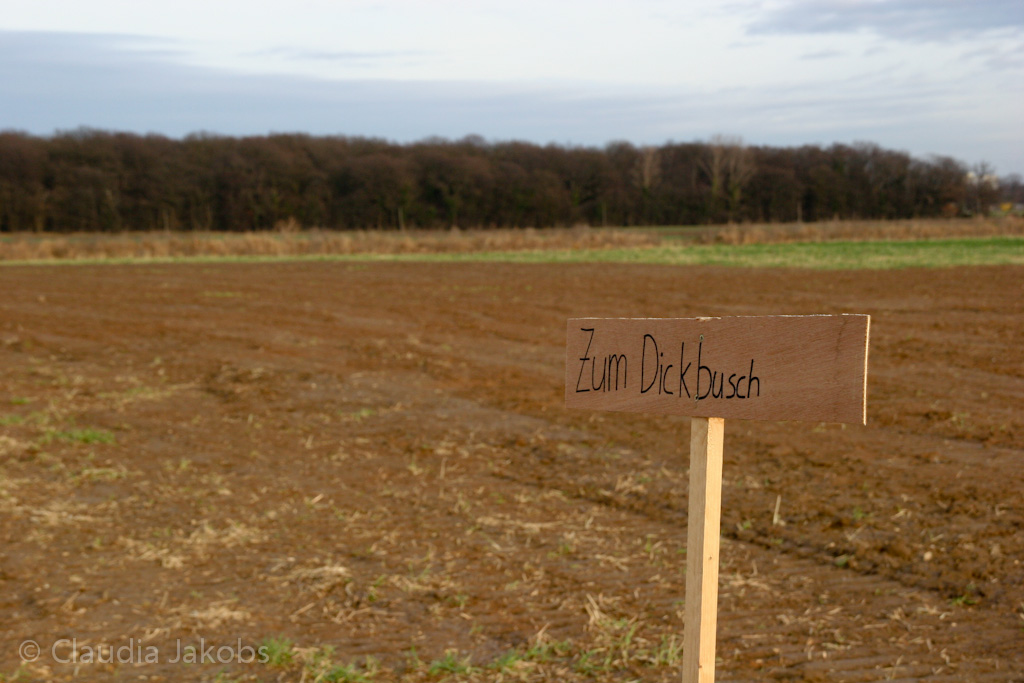 111211143917 IMG 0964