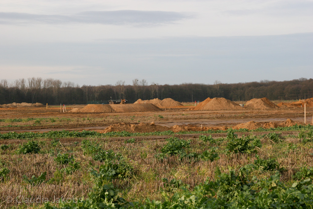 111211144711 IMG 0966