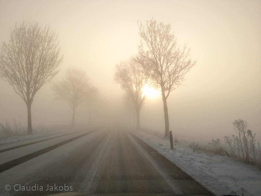 121208094229 Winter7