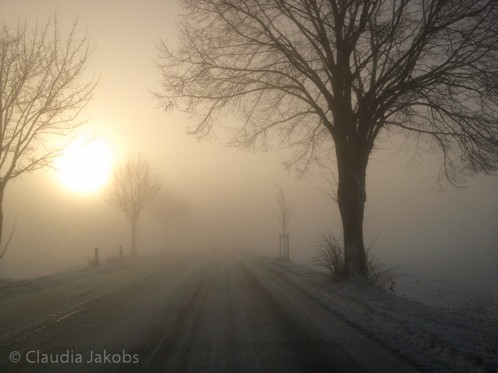 121208094426 Winter10