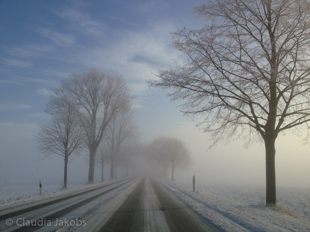 121208094922 Winter12