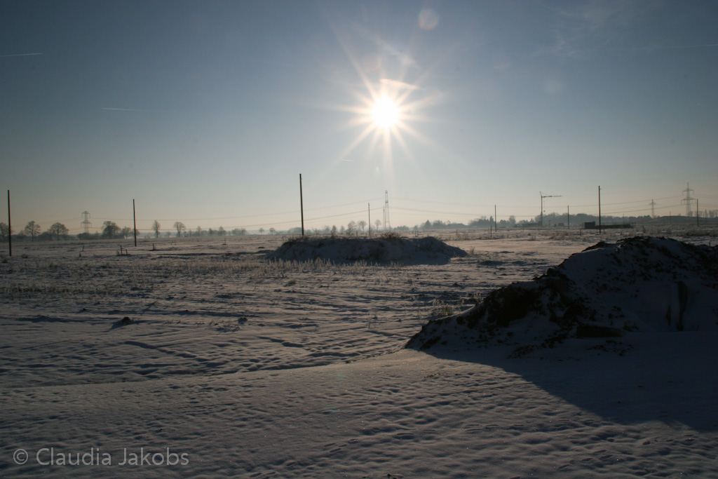 121208153728 IMG 4186