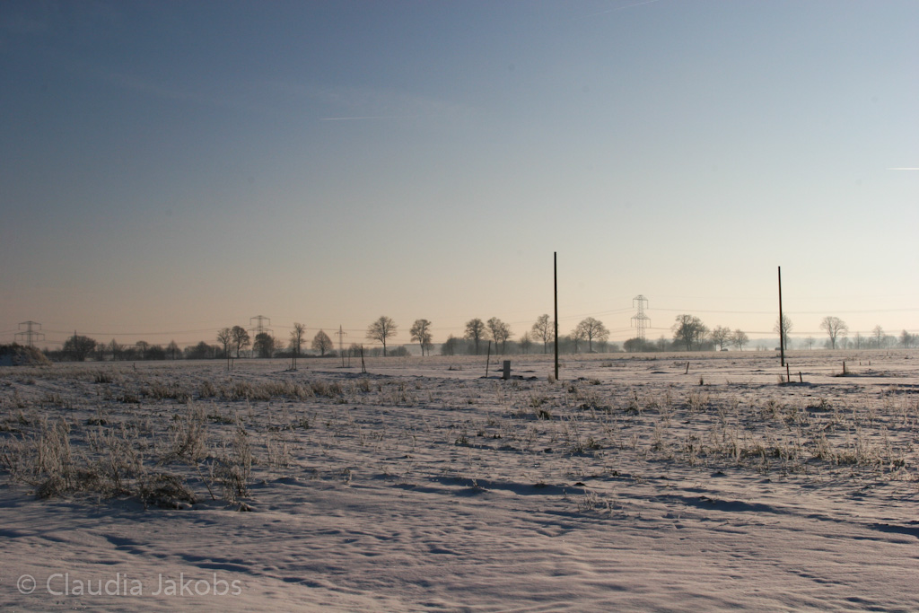 121208153831 IMG 4194