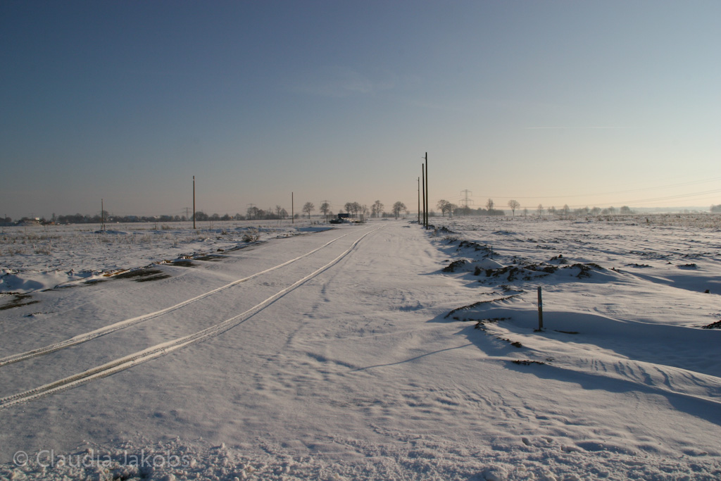 121208154012 IMG 4198