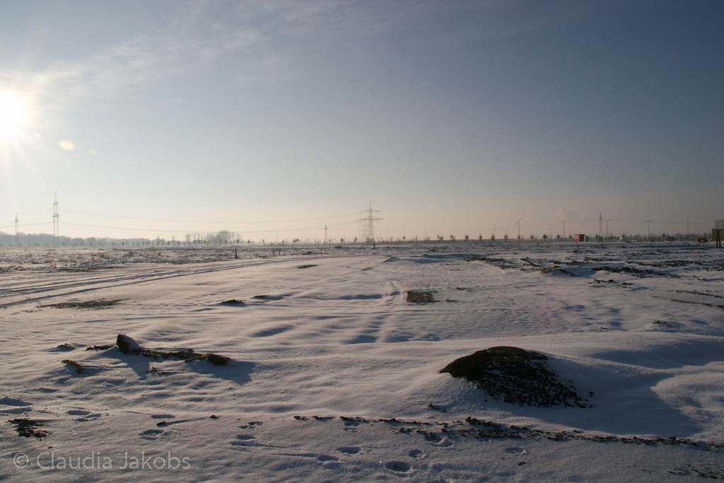 121208154254 IMG 4206