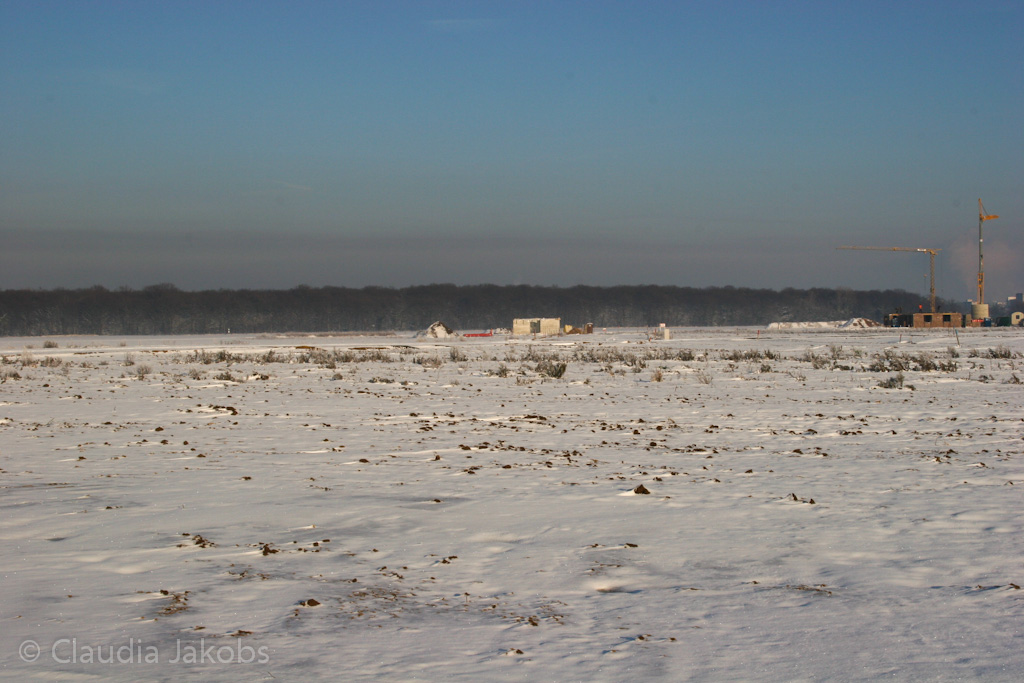 121208154339 IMG 4214