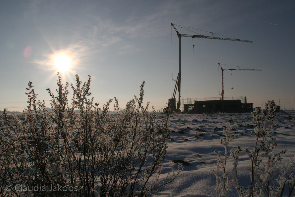 121208154440 IMG 4217