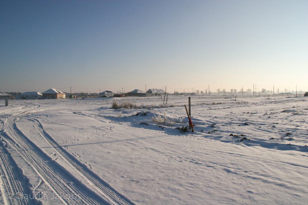 121208154844 IMG 4229