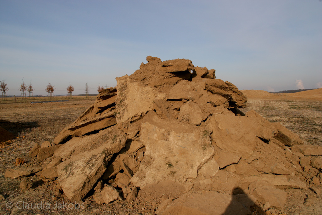 120205112423 IMG 1445