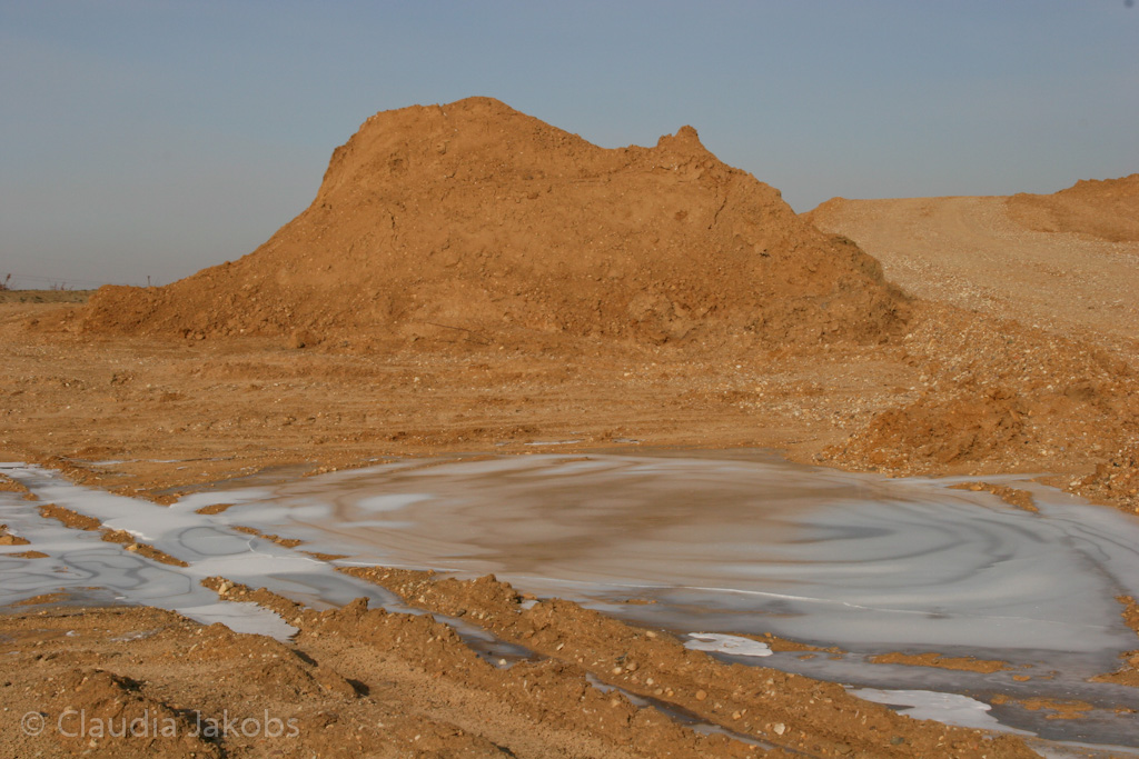 120205112634 IMG 1452