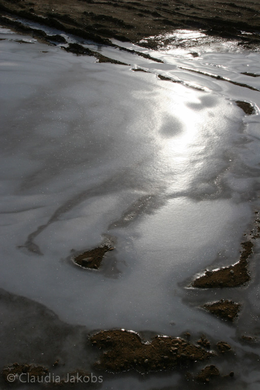 120205112658 IMG 1454