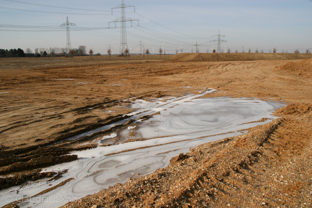 120205112734 IMG 1457