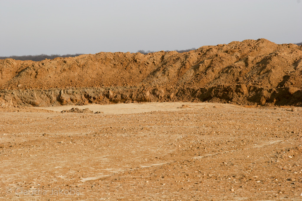 120205112815 IMG 1459