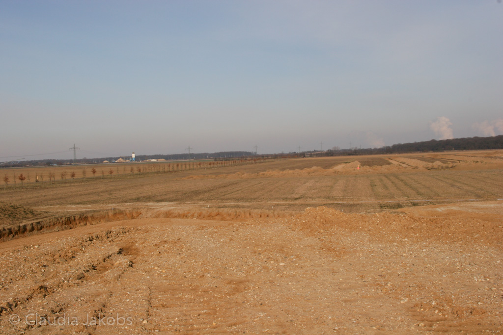 120205112923 IMG 1463