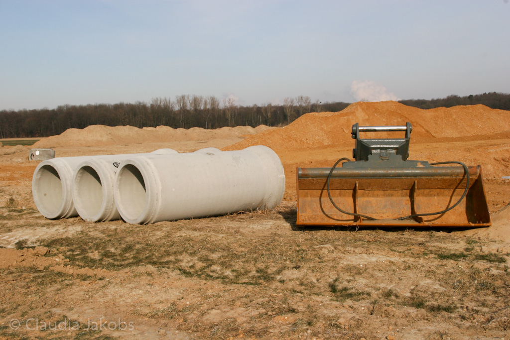 120205114956 IMG 1484