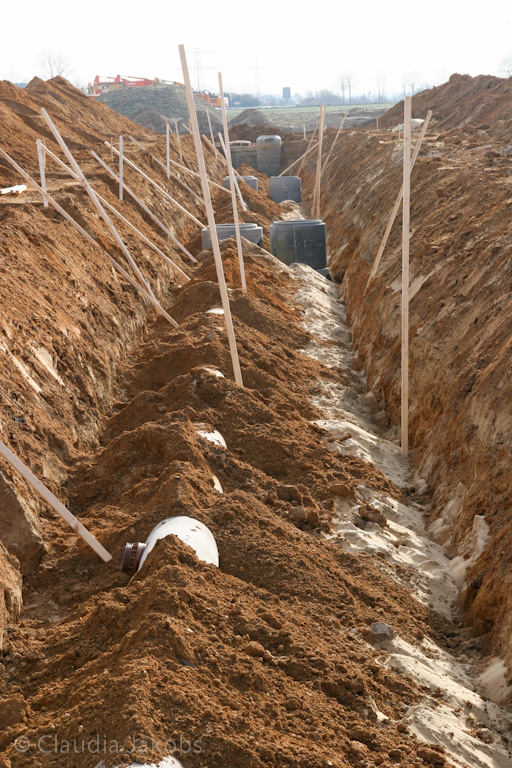 120205115411 IMG 1497