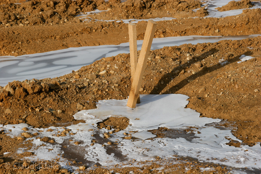 120205115837 IMG 1513